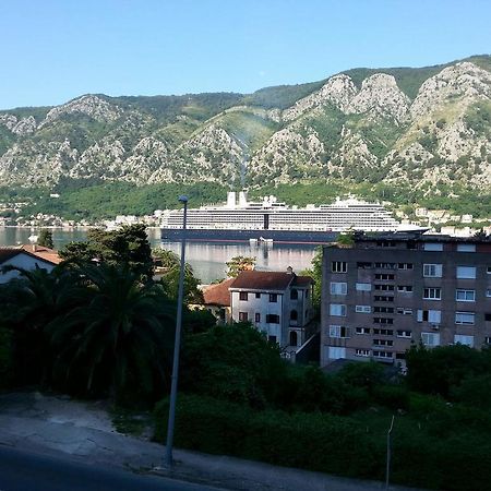 Apartment Ogi Kotor Rum bild